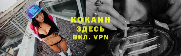 молекула духа Мегион