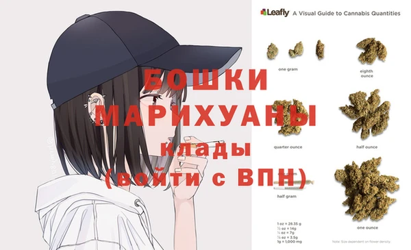 альфа пвп Медвежьегорск