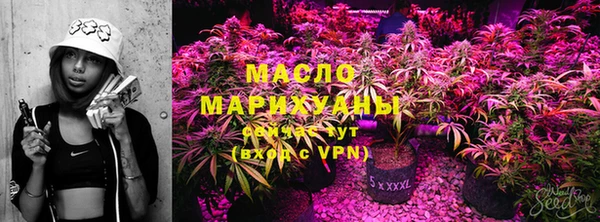 молекула духа Мегион