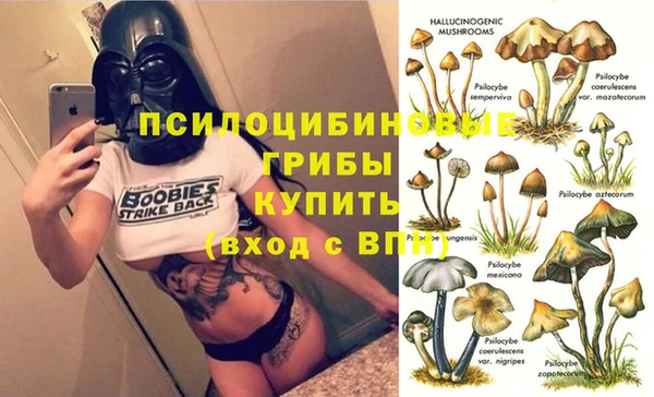 альфа пвп Медвежьегорск