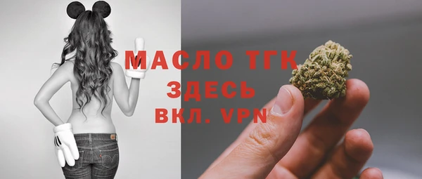 молекула духа Мегион