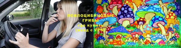 мдпв Лиски
