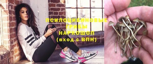 альфа пвп Медвежьегорск