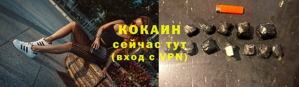 альфа пвп Медвежьегорск
