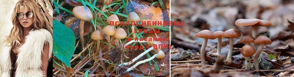наркотики Медногорск