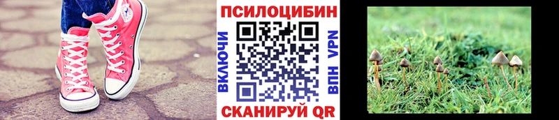 Псилоцибиновые грибы ЛСД Строитель