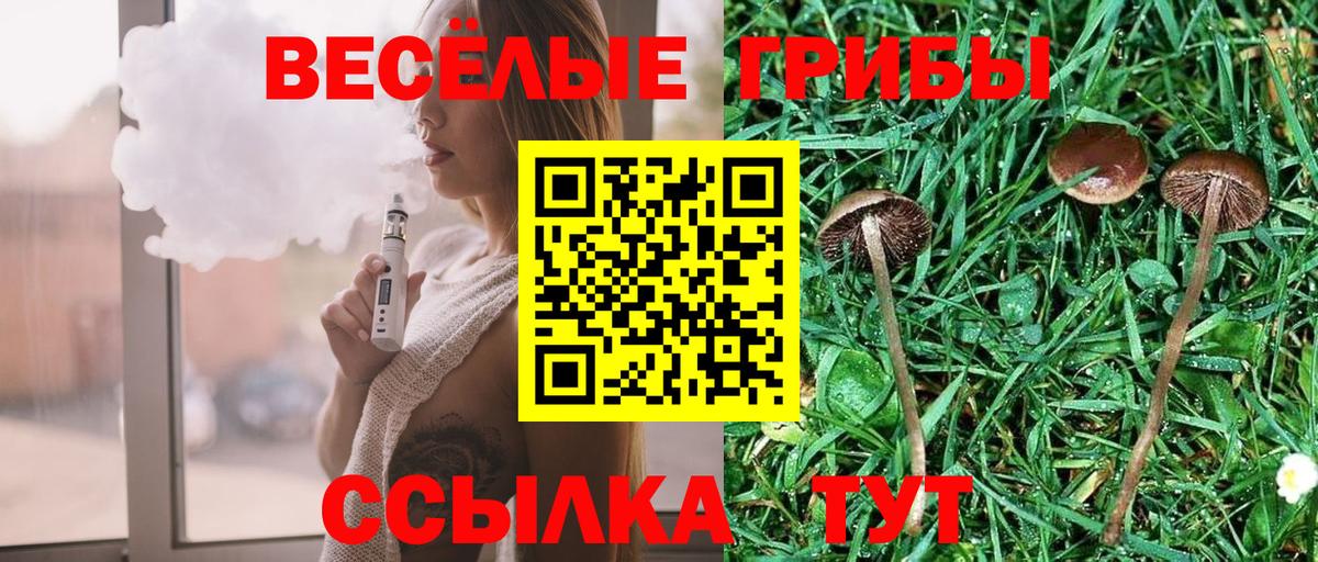 Галлюциногенные грибы ЛСД Строитель